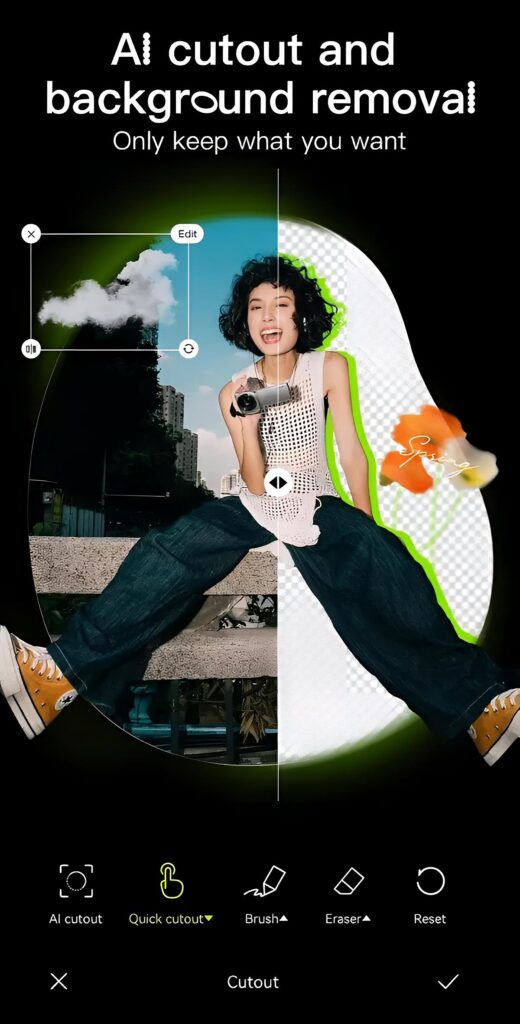 Ai Cutout Background Removal Hypic APK